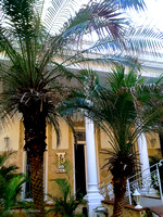 Casa La Colonial 1861 in Havana Cuba