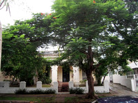 Casa Pino Alto