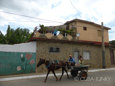 Casa El Tulipan | Trinidad | Cuba