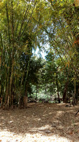 Tours and Excursions in Trinidad Cuba by Casa Las Tres Naranjas