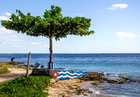 Playa Larga Cuba