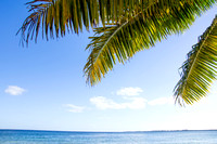 Playa Larga Cuba