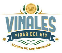 Vinales Logo