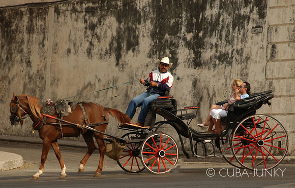 Horse Drawn Carriage Havana