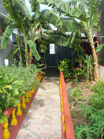 Casa Colonial Baracoa Nalvis y Efer