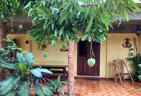Casa Los Mangos Trinidad