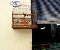Casa Lourdes Old Havana