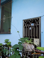 Casa Ofelia Habana Vieja Cuba