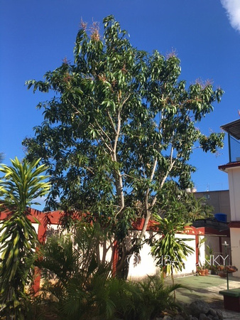 Casa Marin Havana Cojimar