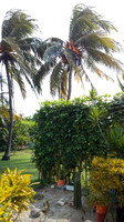 Casa Blanca Margarita Varadero Cuba